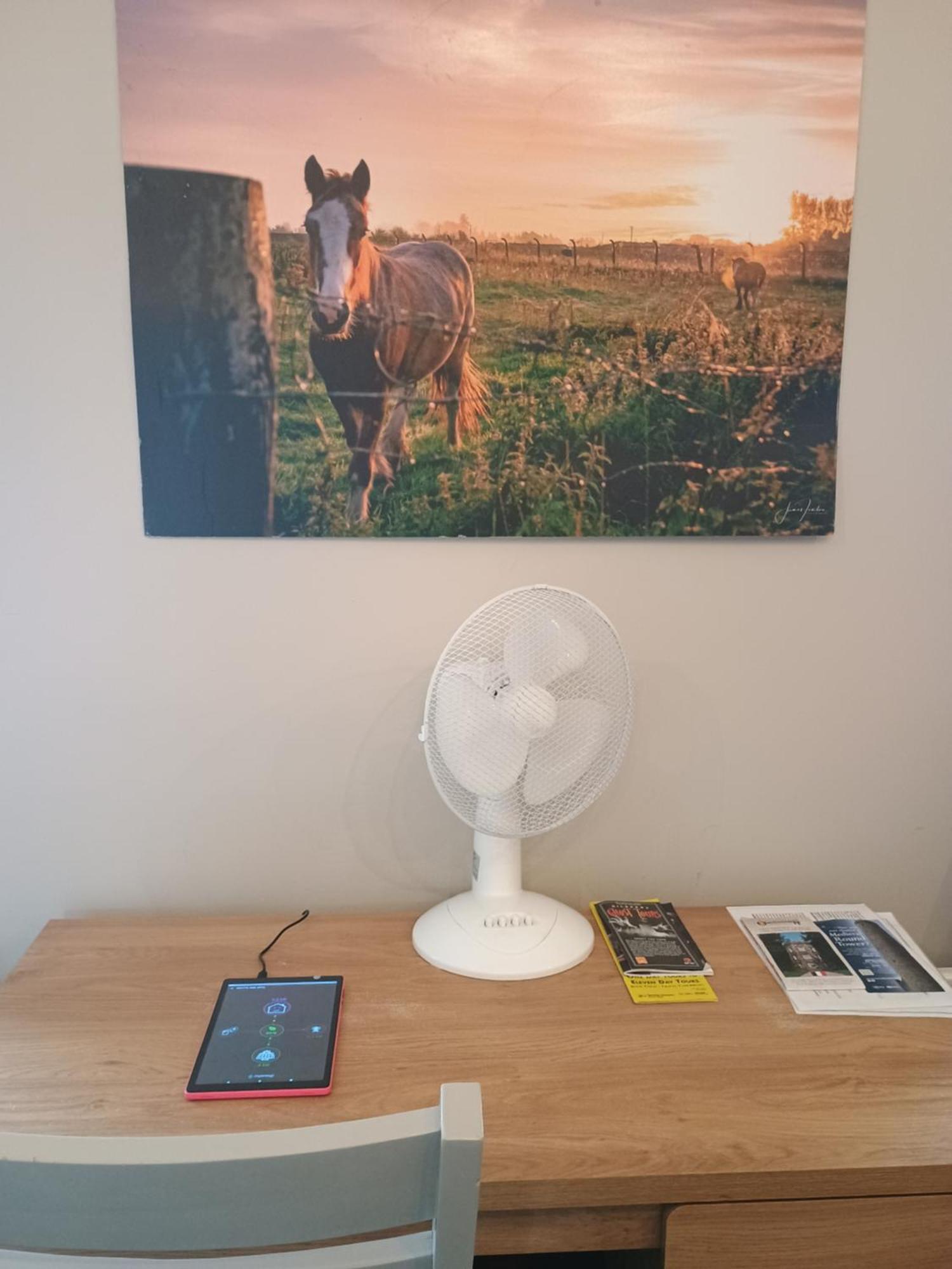 Matty'S Pub - Apartment'S Carlow Esterno foto